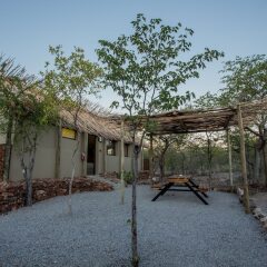 Отель Etosha Village фото 6