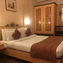 Отель Abbott Hotel Индия, Нави-Мумбай - отзывы, цены и фото номеров - забронировать отель Abbott Hotel онлайн комната для гостей фото 4