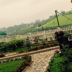 Отель Lake View Comfort Bungalow фото 10