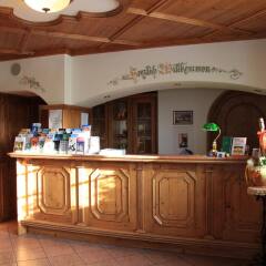 Hotel Gasthof Mostwastl Голлинг-на-Зальцахе гостиничный бар
