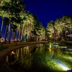 Отель Bioli Medical Wellness Resort Грузия, Тбилиси - отзывы, цены и фото номеров - забронировать отель Bioli Medical Wellness Resort онлайн бассейн фото 2