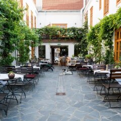 Отель Schreiners Essen Und Wohnen Вена фото 9