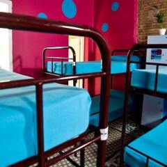 Отель Purple Nest Hostel Испания, Валенсия - 1 отзыв об отеле, цены и фото номеров - забронировать отель Purple Nest Hostel онлайн бассейн фото 3