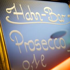 Отель Hahn Hotel Vienna City Австрия, Вена - отзывы, цены и фото номеров - забронировать отель Hahn Hotel Vienna City онлайн приотельная территория