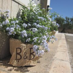 Отель B&B Welcome to Alberobello Альберобелло с домашними животными
