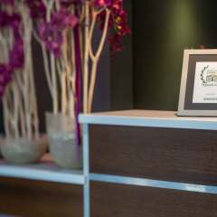 Dodo Hotel интерьер отеля фото 3