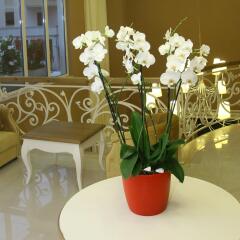 Palace Hotel And Spa Дуррес интерьер отеля