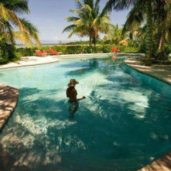 Kamalame Cay in Andros Barrier Reef, Bahamas from 363$, photos, reviews - zenhotels.com photo 2