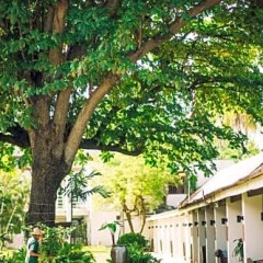 Отель Al's Resort Таиланд, Самуи - 4 отзыва об отеле, цены и фото номеров - забронировать отель Al's Resort онлайн фото 11