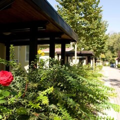 Отель Flaminio Village Bungalow Park Италия, Рим - 3 отзыва об отеле, цены и фото номеров - забронировать отель Flaminio Village Bungalow Park онлайн фото 14