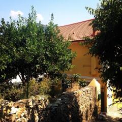 Отель BBQ Lodge Камогли фото 2