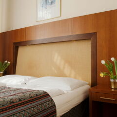 Carlton Opera in Vienna, Austria from 182$, photos, reviews - zenhotels.com guestroom photo 2