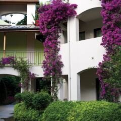 Cornelia De Luxe Resort Турция, Белек - отзывы, цены и фото номеров - забронировать отель Cornelia De Luxe Resort - All Inclusive онлайн фото 5