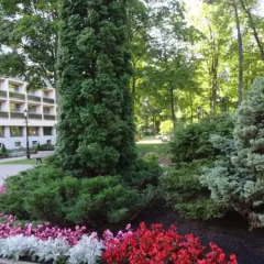 Отель Cottage Sanatorium Belorusija Латвия, Юрмала - отзывы, цены и фото номеров - забронировать отель Cottage Sanatorium Belorusija онлайн