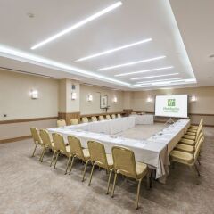 Отель Holiday Inn Istanbul Sisli с домашними животными
