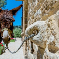 Отель B&B La Quercia e l'Asino Пьяцца-Армерина спортивное сооружение
