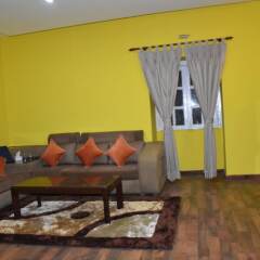 Отель Yellow Durbar Apartment and Lounge Непал, Лалитпур - отзывы, цены и фото номеров - забронировать отель Yellow Durbar Apartment and Lounge онлайн комната для гостей фото 3