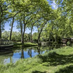 Отель Pullman Toulouse Centre Франция, Тулуза - отзывы, цены и фото номеров - забронировать отель Pullman Toulouse Centre онлайн приотельная территория фото 2