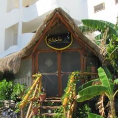 Отель Casa Blatha Holbox с домашними животными