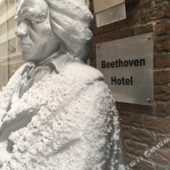 Отель Beethoven Hotel Dreesen - furnished by BoConcept Германия, Бонн - отзывы, цены и фото номеров - забронировать отель Beethoven Hotel Dreesen - furnished by BoConcept онлайн