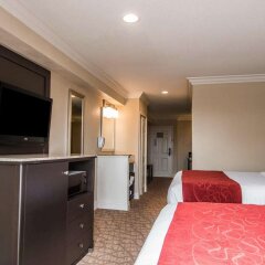 Отель Comfort Suites San Clemente Beach США, Сан-Клементе - отзывы, цены и фото номеров - забронировать отель Comfort Suites San Clemente Beach онлайн удобства в номере