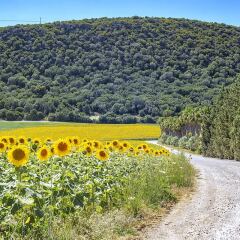 Отель Cortijo Sierra y Lago фото 2