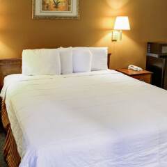 Отель Rodeway Inn Culver City комната для гостей фото 3