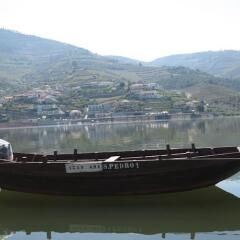 Hotel Folgosa Douro фото 7