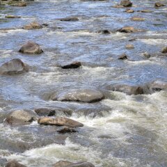 Отель Days Inn by Wyndham Gatlinburg On The River фото 4