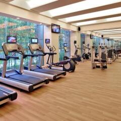 Grand Skylight International Hotel Shenzhen Guanlan Avenue фитнесс-зал фото 3