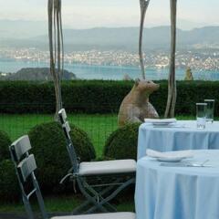 Отель Sorell Hotel Zürichberg Швейцария, Цюрих - 2 отзыва об отеле, цены и фото номеров - забронировать отель Sorell Hotel Zürichberg онлайн пляж