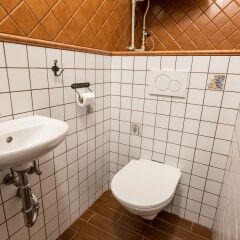 Отель Aparthotel Davids Чехия, Прага - отзывы, цены и фото номеров - забронировать отель Aparthotel Davids онлайн ванная