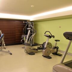 Отель Holiday Inn Salzburg City Австрия, Зальцбург - отзывы, цены и фото номеров - забронировать отель Holiday Inn Salzburg City онлайн фитнесс-зал фото 2