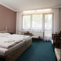 Отель Radějov Чехия, Годонин - отзывы, цены и фото номеров - забронировать отель Radějov онлайн комната для гостей фото 4