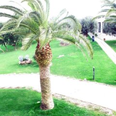 Отель Gallipoli Resort Италия, Галлиполи - отзывы, цены и фото номеров - забронировать отель Gallipoli Resort онлайн фото 6