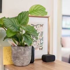 Отель Lovely, Cosy 1 bed in Holloway комната для гостей