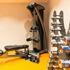 Отель Holiday Inn Dresden - City South Германия, Дрезден - отзывы, цены и фото номеров - забронировать отель Holiday Inn Dresden - City South онлайн фитнесс-зал фото 3