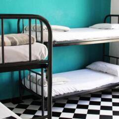 Hostel New York детские мероприятия фото 2
