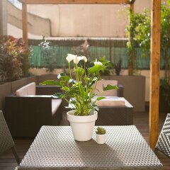 Отель Blanc Guest House Испания, Барселона - отзывы, цены и фото номеров - забронировать отель Blanc Guest House онлайн фото 3