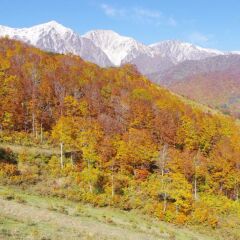 Отель Hakuba Ski Kan Хакуба приотельная территория
