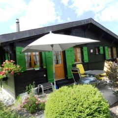 Отель Abnaki, Chalet Швейцария, Гштад - отзывы, цены и фото номеров - забронировать отель Abnaki, Chalet онлайн фото 4