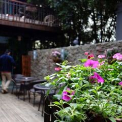 Отель Beehome International Youth Hostel- Lujiazui Китай, Шанхай - отзывы, цены и фото номеров - забронировать отель Beehome International Youth Hostel- Lujiazui онлайн фото 5