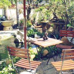 Отель Bonsai Homestay Хойан фото 5