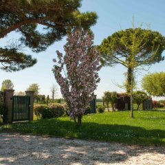 Отель Villa Pinella Прамаджоре с домашними животными