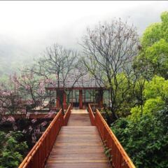 Отель Bolian Resorts & SPA Chongqing фото 2