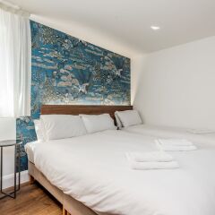 Отель Queens Drive Hotel Великобритания, Лондон - отзывы, цены и фото номеров - забронировать отель Queens Drive Hotel онлайн комната для гостей фото 12