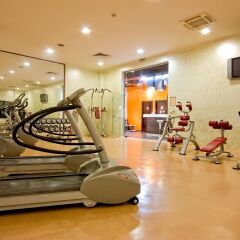 Vitosha Park Hotel фитнесс-зал