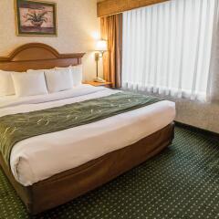 Отель Comfort Suites Wilmington сейф в номере