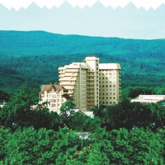 Гостиница Санаторий Карпаты Украина, Трускавец - отзывы, цены и фото номеров - забронировать гостиницу Санаторий Карпаты онлайн фото 4