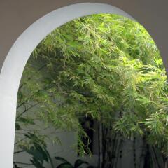 Отель Moss Colombo балкон